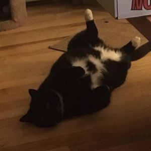 Meet your Posher, April